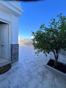 a tree in a pot next to a building at Malihana- Duplex con vistas y BBQ en Puerto Rico in Mogán