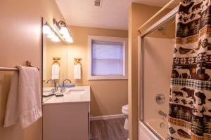 a bathroom with a toilet and a sink and a shower at A Mountain Hideaway in Blowing Rock +33 photos