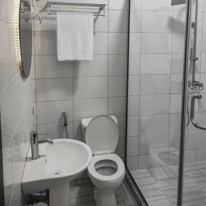 a bathroom with a toilet and a sink and a shower at Abiluxe in Hausa +10 photos