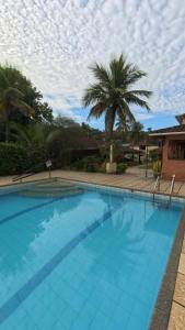 a large blue swimming pool with a palm tree in the background at Sítio Solar de Espanha in Duque de Caxias
