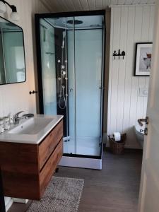 a bathroom with a glass shower and a sink at Ferienhaus Zerpini in Wandlitz +24 photos