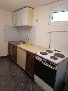 a kitchen with a stove and a sink at Soba za radnike Svilajnac in Svilajnac