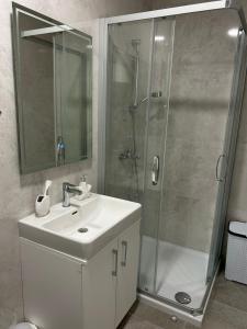 a bathroom with a sink and a shower at Apartman Maja in Budžak +8 photos