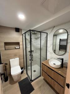 a bathroom with a shower and a toilet and a sink at Casa Collado Apartmento 2A in San Vicente
