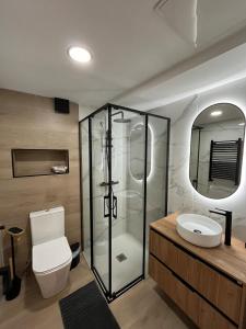 a bathroom with a shower and a toilet and a sink at Casa Collado Apartmento 2A in San Vicente