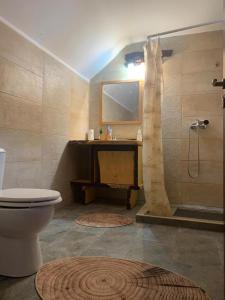 a bathroom with a shower and a toilet and a sink at Cabana NEDA in Rausor
