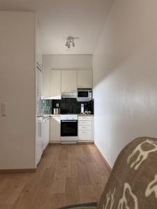 Η κουζίνα ή μικρή κουζίνα στο Studio Forest Green