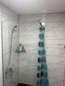 une salle de bain avec une douche avec une porte vitrée dans l'établissement Stan Grozd Aleksandrovac Centar, à Aleksandrovac