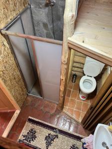 mit Blick auf ein Bad mit WC in der Unterkunft Brvnare Tomić 2 i 3 in Ždrelo