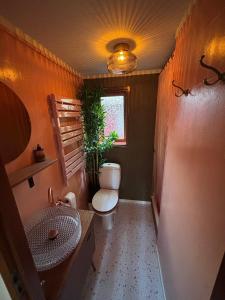 a bathroom with a toilet and a sink and a mirror at Chaletpark de Kempenbos - 196 in Westelbeers