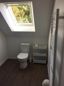 a bathroom with a toilet and a window at Appartement avec jacuzzi privatif in Moustoir-Ac +4 photos