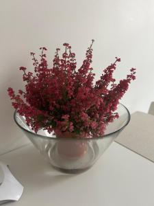 un tazón de cristal lleno de flores rosas sobre una mesa en Northern Lights small apartment at Emmas Street 28, Riga, en Riga