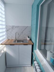 une petite cuisine avec un évier et une fenêtre dans l'établissement Zefir Horynia, à Lviv