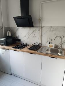 un comptoir de cuisine avec un évier et une cuisinière dans l'établissement Zefir Horynia, à Lviv 9 autres photos