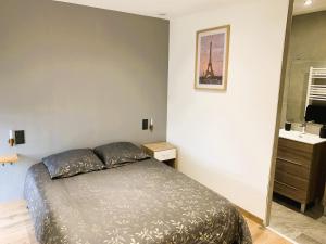 a bedroom with a bed and a sink and a mirror at Le gîte du Plessis in Montanel