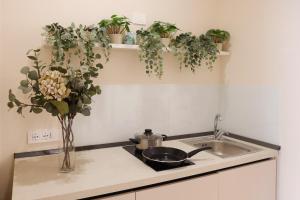 a kitchen counter with a sink and a vase of plants at SOFIA Suites & Rooms in Pompei +47 photos