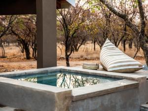 Hồ bơi trong/gần Minara Private Boutique Game Lodge