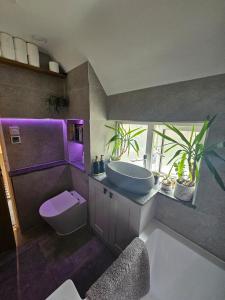 バイブリーにあるImperfect home in perfect location, Bibury hot tubのバスルーム(シンク、トイレ、紫色の照明付) +37枚の写真