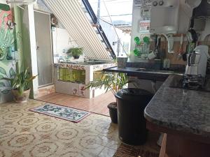 a kitchen with a counter and plants in a room at Refugio Piratininga térreo 103 in Niterói