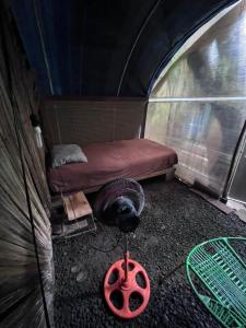 una stanza con un letto e una ruota in una tenda di Punta Roca Surf House a El Majahual
