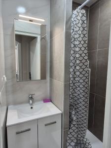 a bathroom with a sink and a shower with a mirror at Le Battant in downtown Besançon in Besançon