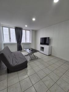 a living room with a couch and a television at Le Battant in downtown Besançon in Besançon