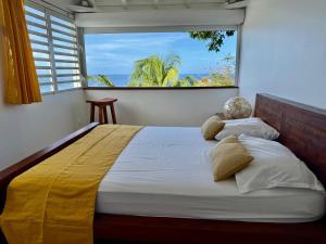 Gallery image of Domaine du Val in Vieux-Habitants