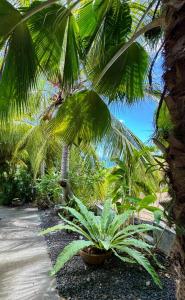 Gallery image of Domaine du Val in Vieux-Habitants +8 photos