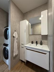 a bathroom with a sink and a washing machine at San Nikola in Vrdnik +52 photos