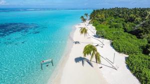 an aerial view of a beach with palm trees and the ocean at Oak Thoddoo in Toddu Atoll
