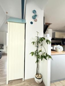 une plante posée à côté d'un meuble blanc dans une cuisine dans l'établissement Ty Glas des Abers, à Lannilis 1 autre photo