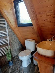 a bathroom with a toilet and a sink and a window at Cabana 3 Stejari Maramureș in Călineşti