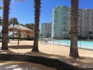 a group of palm trees on a beach with a pool at Vista velero in Algarrobo