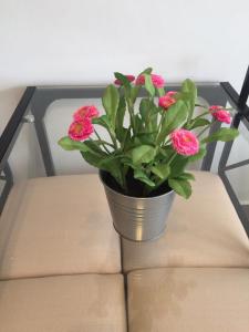 a vase with pink flowers sitting on a chair at Nice view in Playa del Ingles