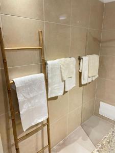 a bathroom with white towels hanging on a wall at Soleil éclatant in Sainte-Anne +32 photos