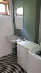a bathroom with a sink and a mirror at Ferienwohnung am Römischen Haus in Weimar +11 photos