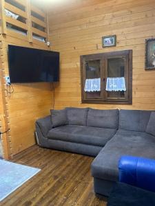 TV a/nebo společenská místnost v ubytování Country refuge Noreea