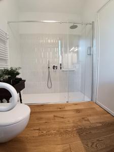 a bathroom with a shower and a toilet at BotanicaSuiteTorino in Baldissero Torinese