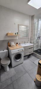 a bathroom with a toilet a sink and a washing machine at Appartement Le Saint Julien centre historique in Chartres +19 photos