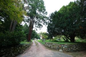 a dirt road with trees and a stone wall at La Casa nel Bosco in Somma Lombardo