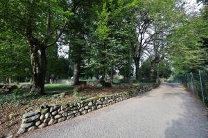 a road with a stone wall and trees and a fence at La Casa nel Bosco in Somma Lombardo +23 photos