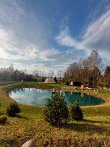 a small pond in the middle of a field at Pond View Cabin in Būda