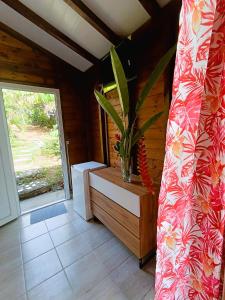 a room with a potted plant and a window at Gites kaz à klemence - Bungalow karapat - jacuzzi privé et piscine partagée au cœur de la nature à Anse-Bertrand in Anse-Bertrand +35 photos
