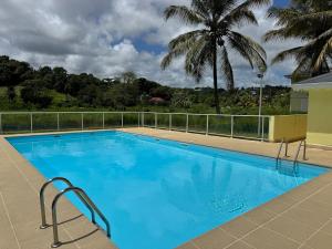 a large blue swimming pool with a palm tree in the background at Casa Montebello in Petit-Bourg