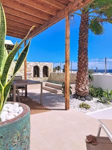 CocoMar I- Luxurious villa with heated pool near the sea في Guatiza: فناء به طاولة و نخلة