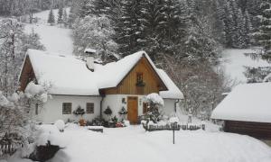 Obiekt Ferienhaus Lenzau zimą
