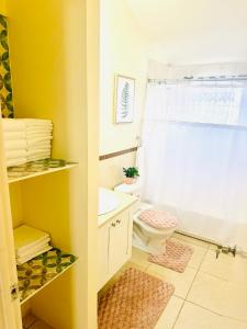 a bathroom with a toilet and a sink at Mountain View Haven- 3 mins to the beach in Falmouth +23 photos