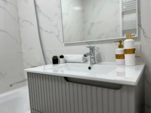 Koupelna v ubytování Urban Comfort Apartment