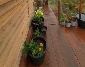 Un montón de macetas con plantas en una terraza de madera. en Cabin at Animal Rescue Sanctuary - Sleeps 2, en Newchurch