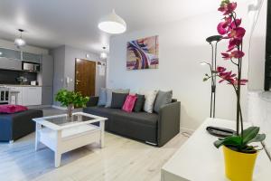 Kuchyň nebo kuchyňský kout v ubytování VIP Apartamenty Centrum